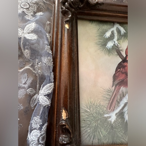 Framed Cardinal Prints - Estate Sale Find ⚠️ Frames have minor scuffing - Picture 3 of 6